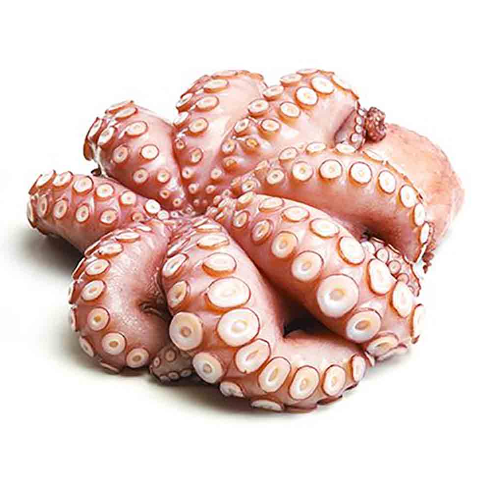 Octopus