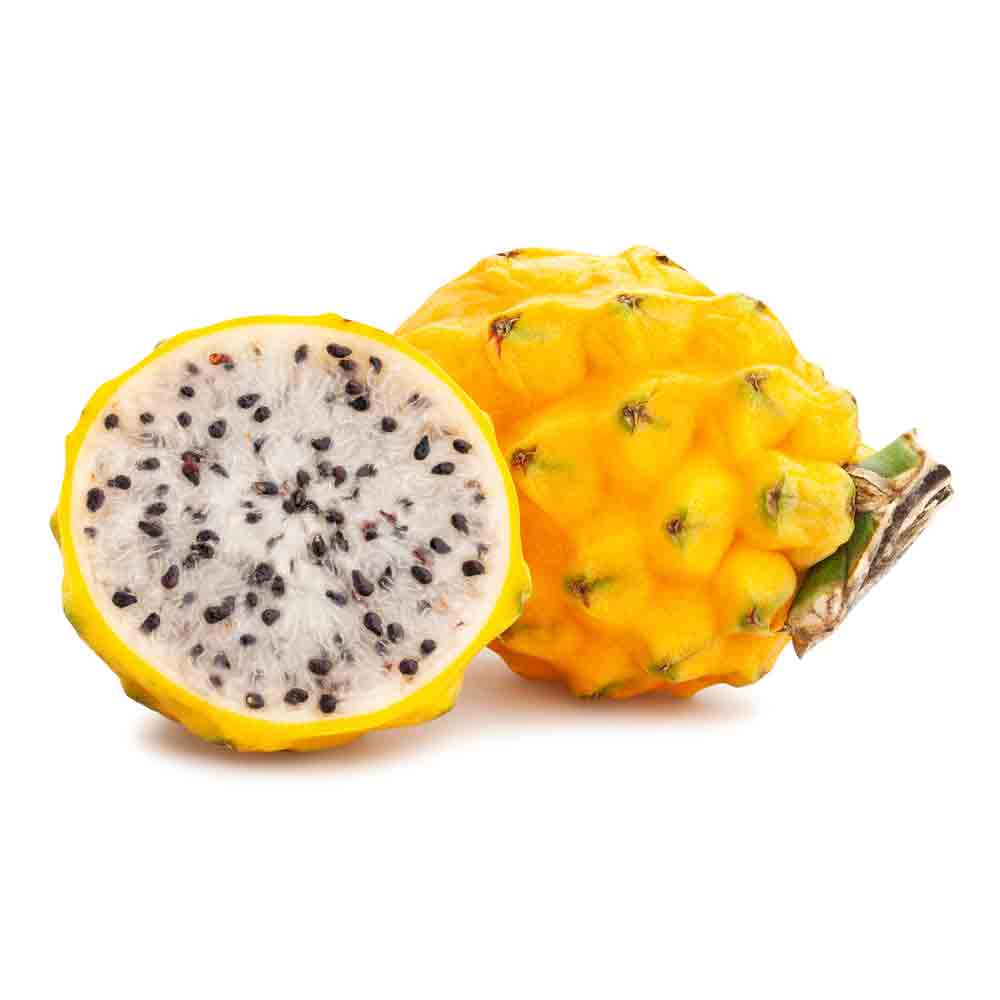 Dragonfruit Yellow Ecuador Around G