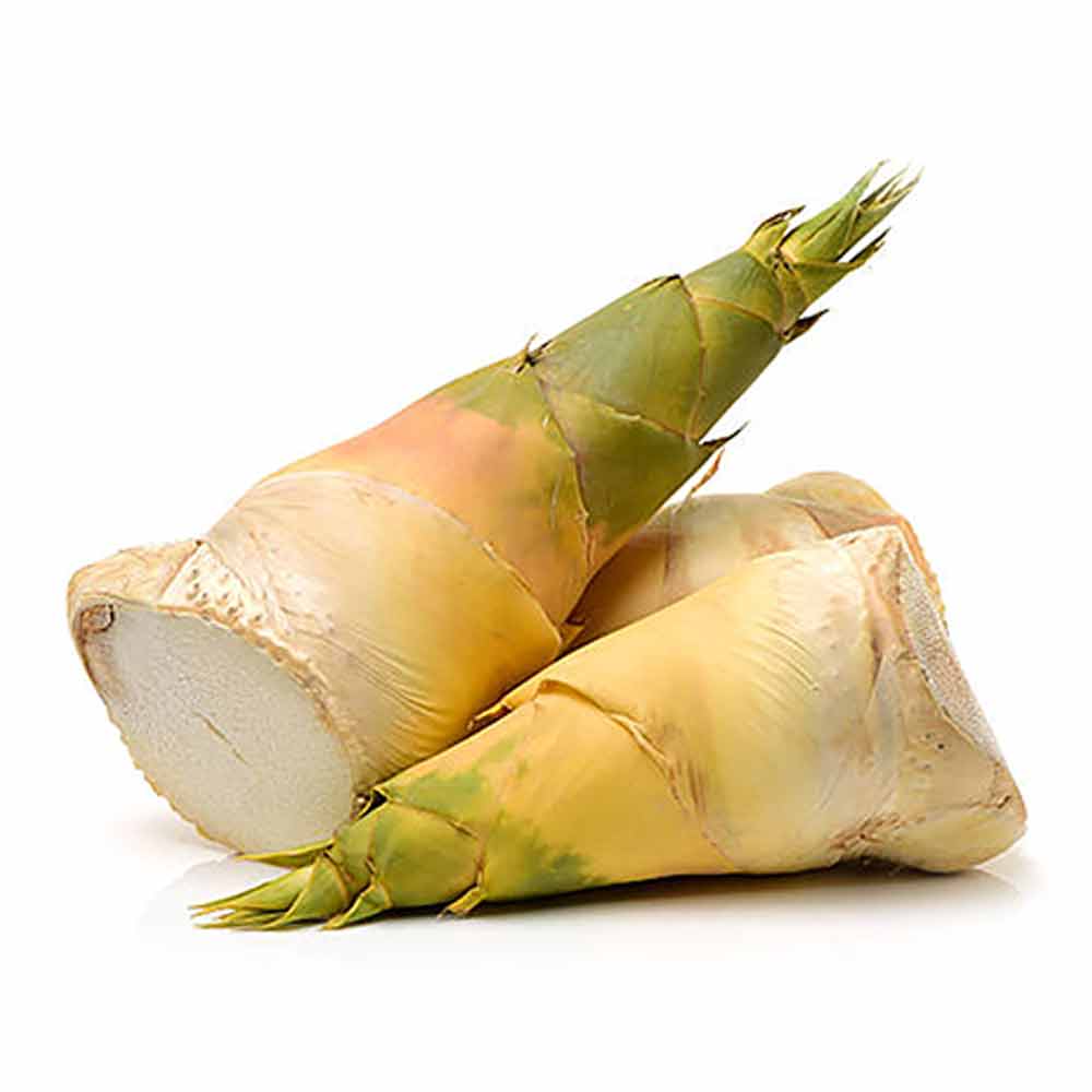 BAMBOO SHOOT ទពង