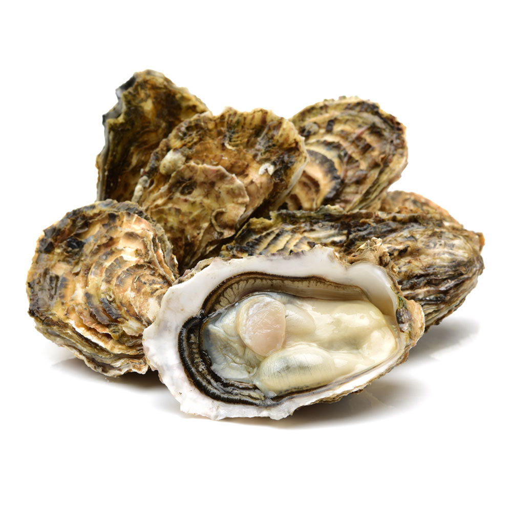 Oyster Japan / អយស្ទ័រ ជប៉ុន (Around 500g)