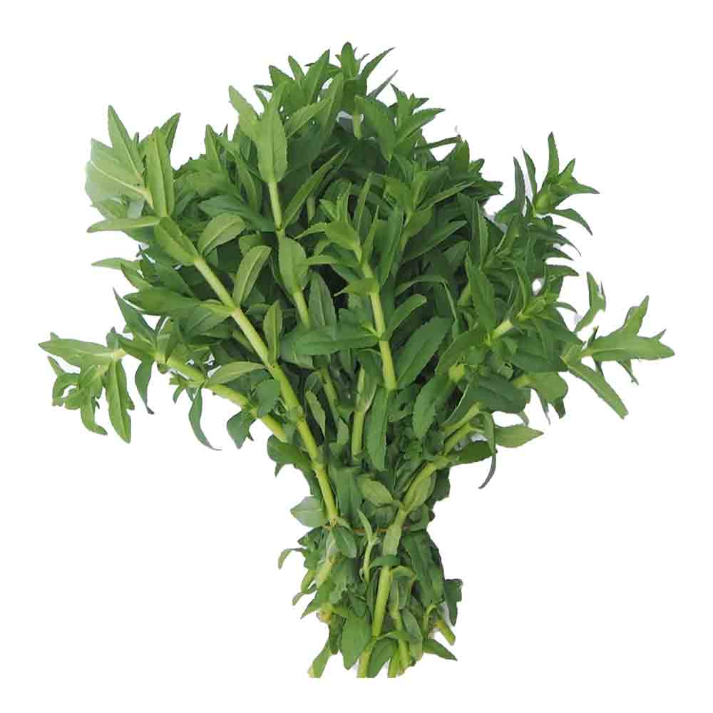 CARAWAY (ម្អម)